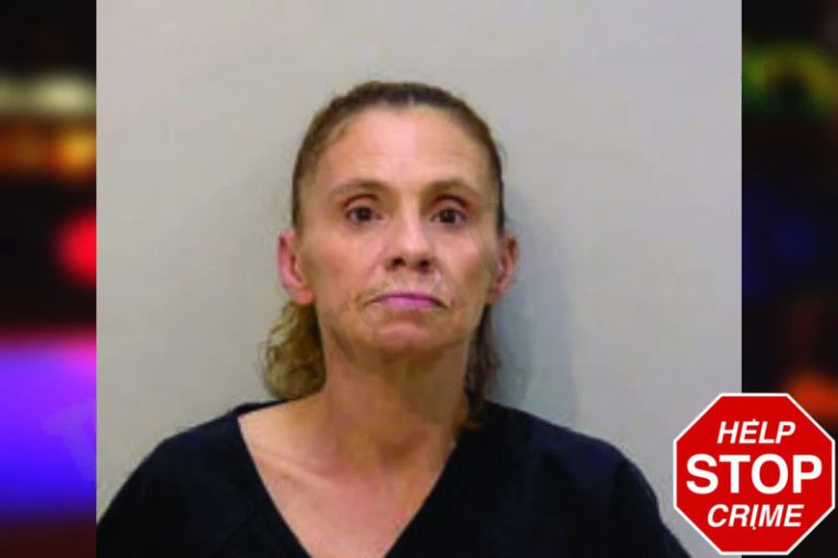 Christy Lewis mugshot – Bartow County , Georgia Christy Lewis