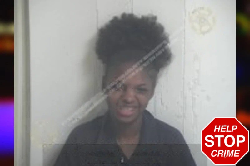 Chyna Lewis Mugshots