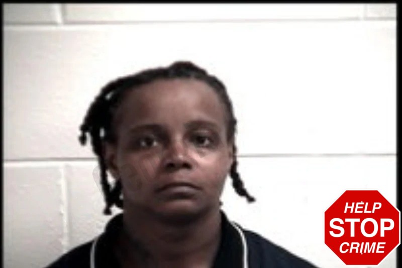 Cindy Johnson Mugshots