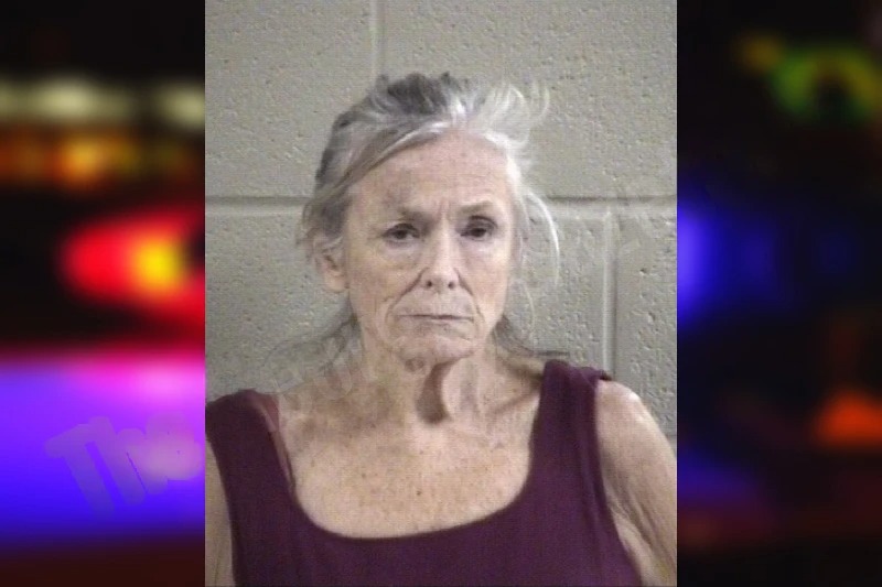 Cindy Rogers Mugshots