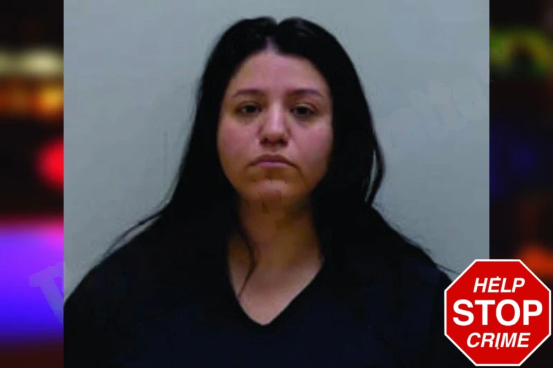 Citlally Sanchez Mugshots