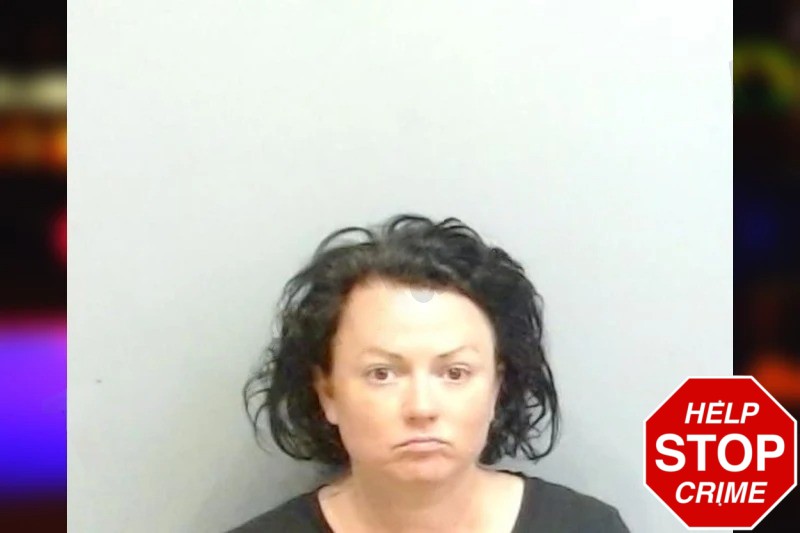 Clarissa Bryan mugshot – Fulton County , Georgia Clarissa Bryan mugshot