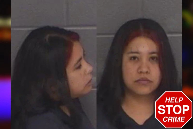 Concepcion Carbajal Martinez mugshot – Barrow County , Georgia Concepcion Carbajal Martinez mugshot
