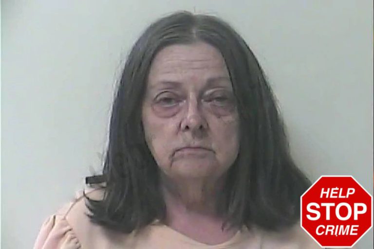 Constance Hollis mugshot – Oconee County , Georgia Constance Hollis