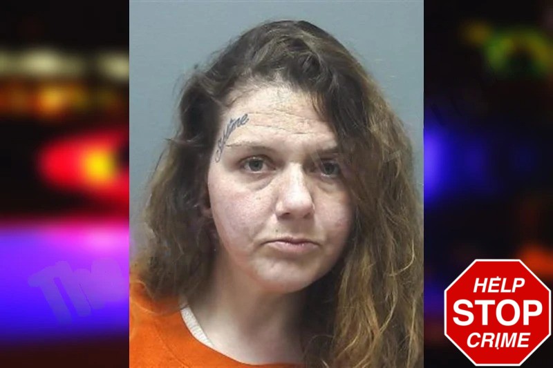 Corey Erwin Mugshots