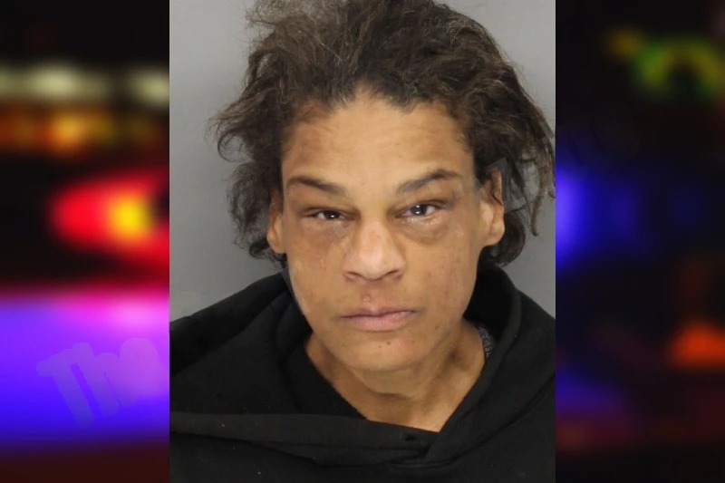 Courtney Millard Mugshots