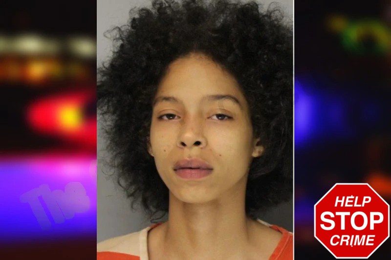 Courtney Reese Mugshots