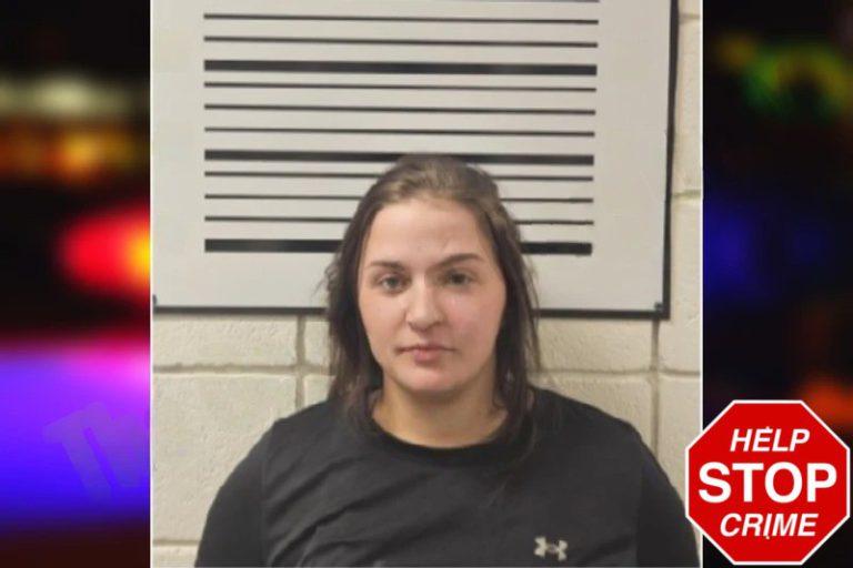 Courtney Sanders mugshot – Toombs County , Georgia Courtney Sanders