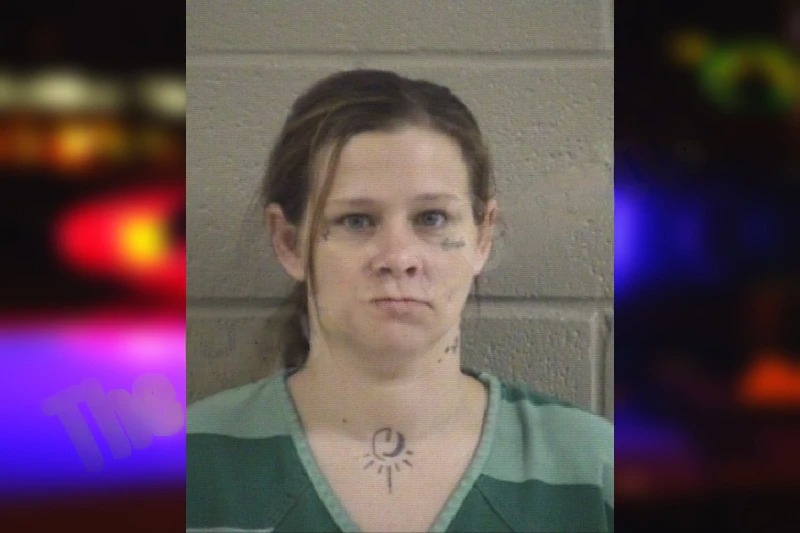 Courtney Wiseman Mugshots