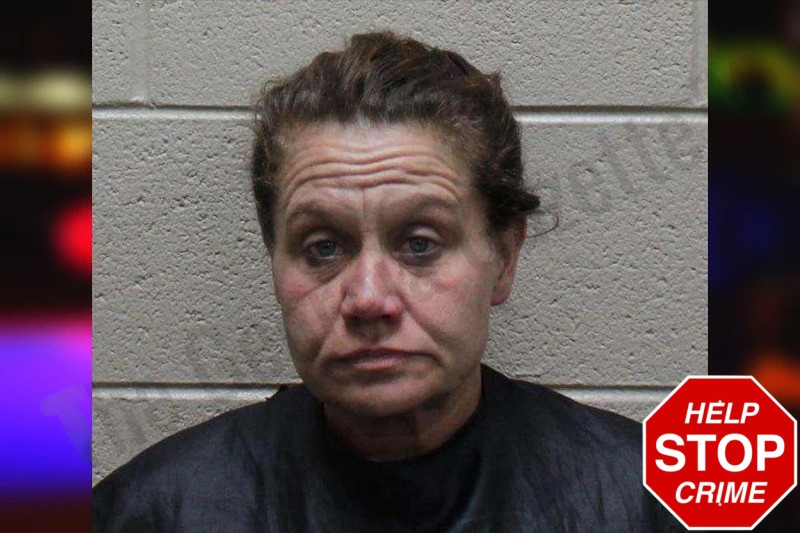 Crystal Mohorcic Mugshots