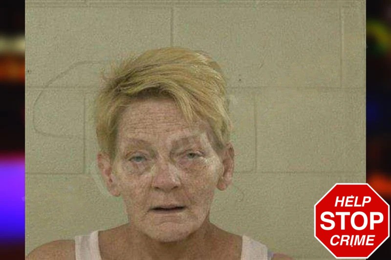 Cynthia Coolman Mugshots