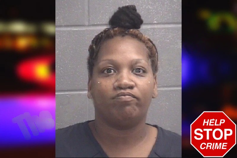 Cynthia Flemister Mugshots