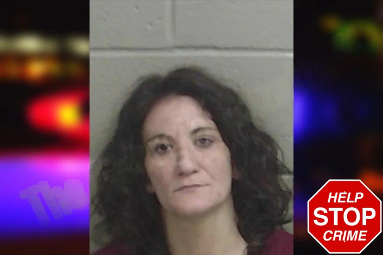 Cynthia Herrin mugshot