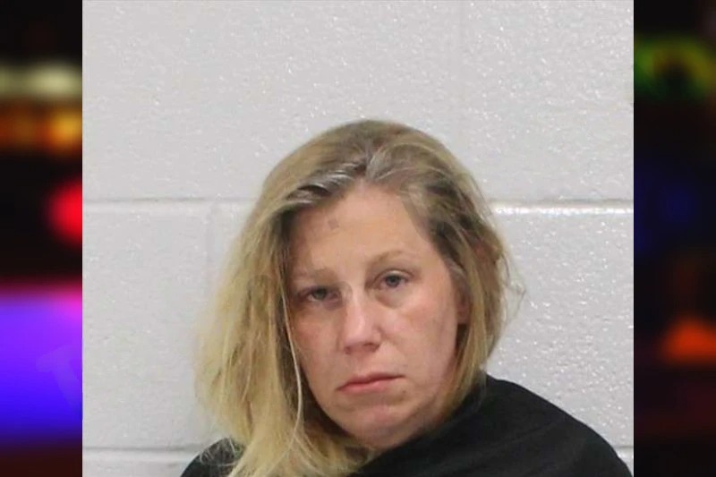 Cynthia Lee Mugshots