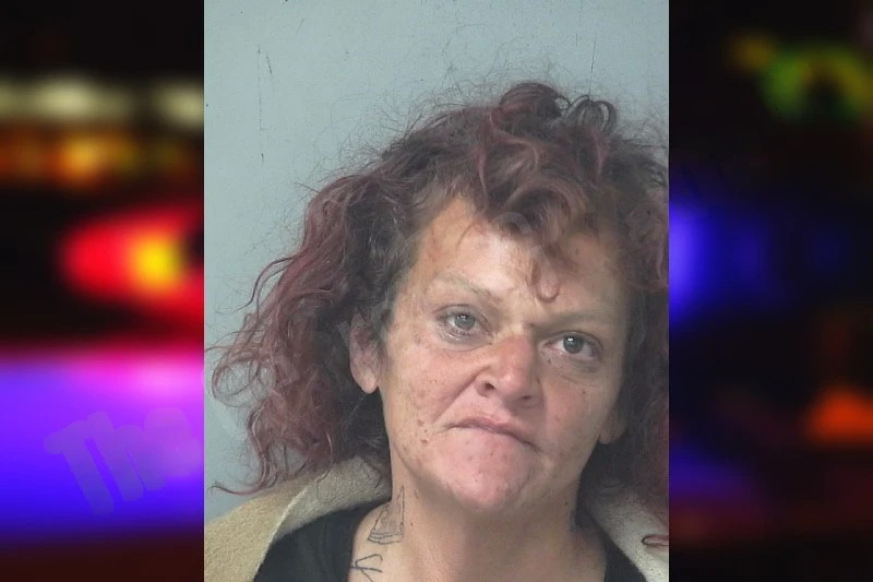 Cynthia Rodriguez Mugshots