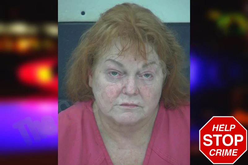 Cynthia Roman Mugshots