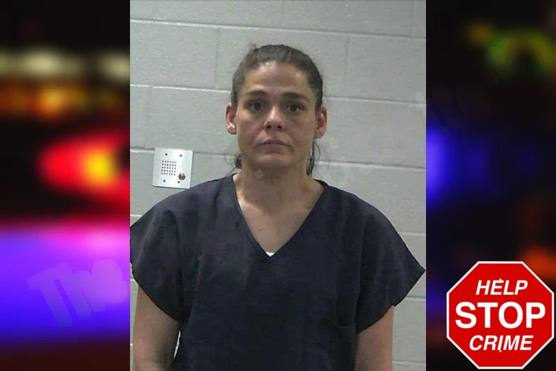 Cynthia Smith Mugshots