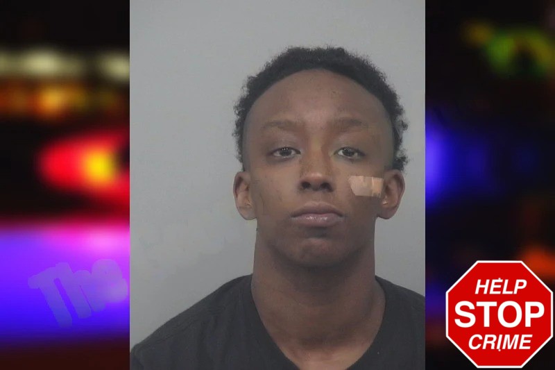 D’Lisa White Mugshots