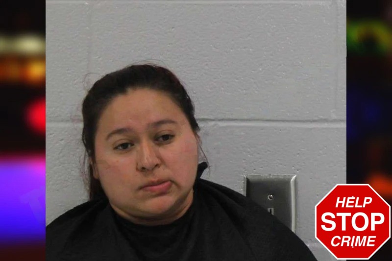 Daili Bonilla Mugshots