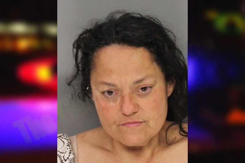 Dalena Lopez mugshot