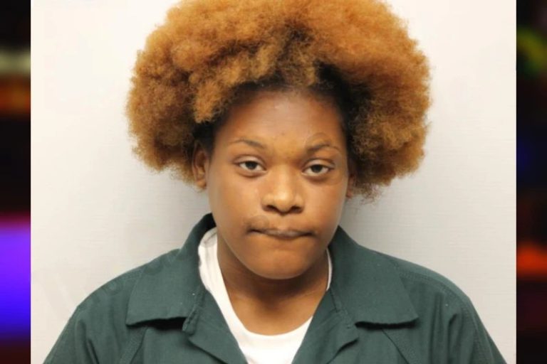 Dametria Steward mugshot – Whitfield County , Georgia Dametria Steward