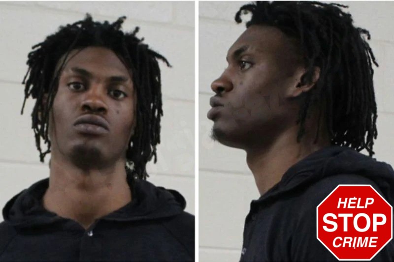 Damice Mitchell Mugshots
