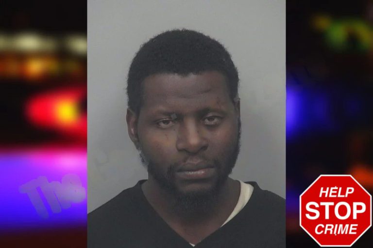 Damilola Amosun mugshot – Gwinnett County , Georgia Damilola Amosun