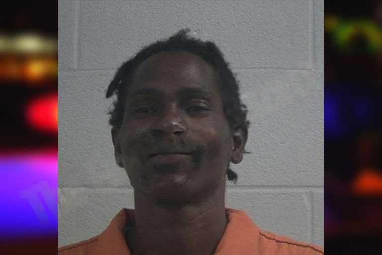 Damion Martin mugshot – McDuffie County , Georgia Damion Martin