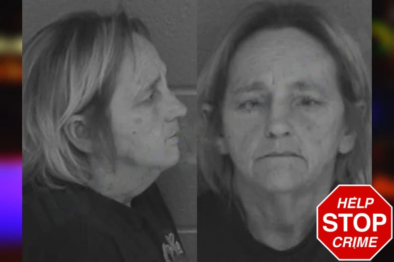 Dana Thomas Mugshots