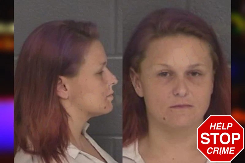 Dana Williams Mugshots