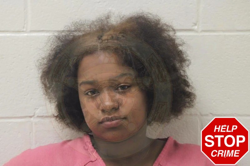 Danaysha Esmurria Mugshots