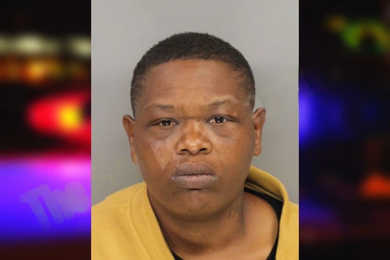 Dandreca McNair Mugshots