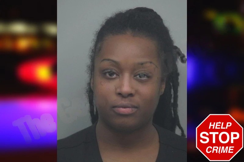 Danesha Johnson mugshot