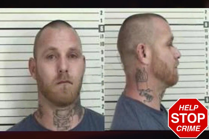 Daniel Williams mugshot