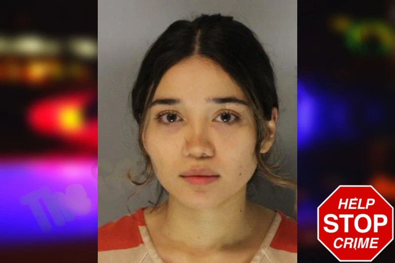 Daniela Lima-Marroquin Mugshots