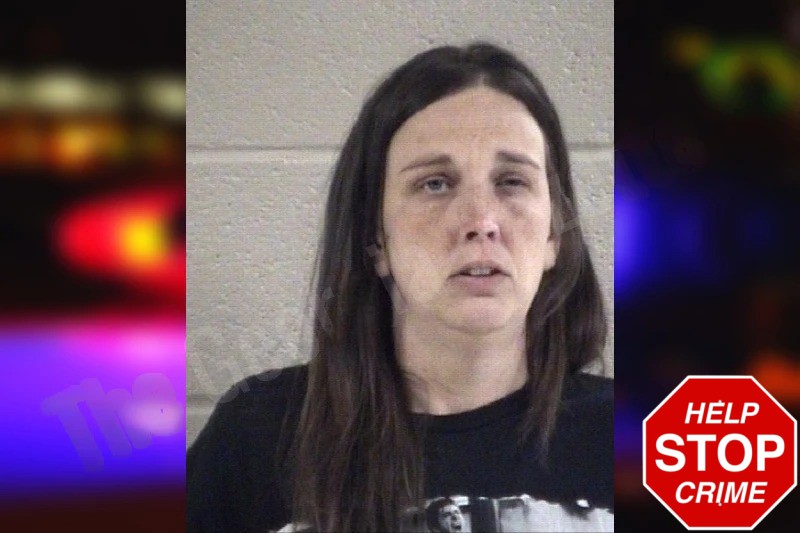 Danielle King Mugshots