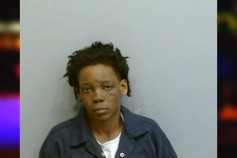 Danyelle Brown mugshot