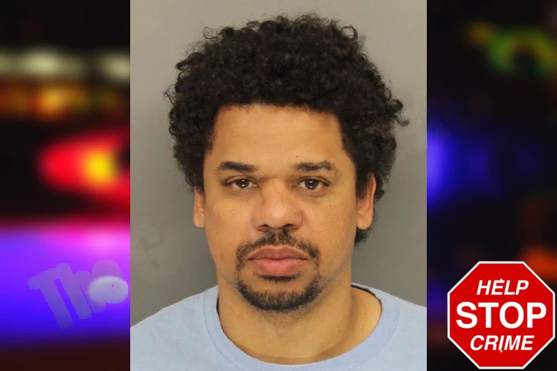 Darce Stelly Mugshots