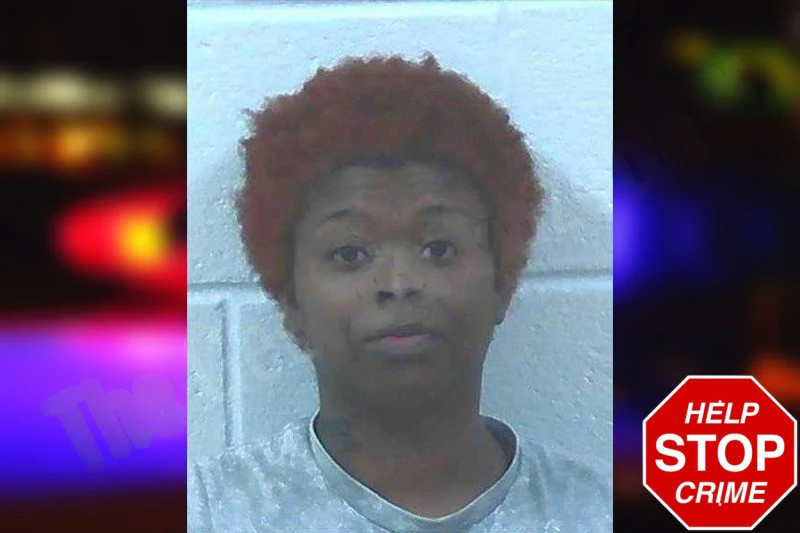 Dareneicia Jackson Mugshots