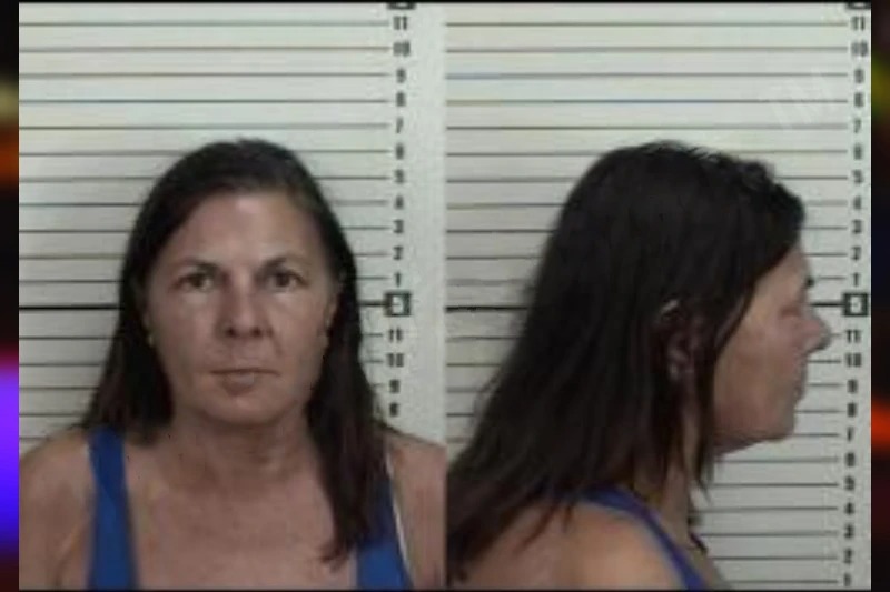 Darleen Baldinelli Mugshots