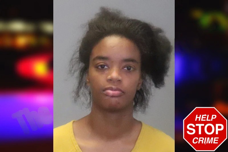 Darnisha White Mugshots