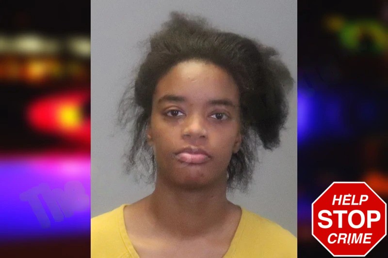 Darnisha White Mugshots