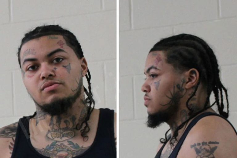 Darrell Wipfel mugshot – Houston County , Georgia Darrell Wipfel