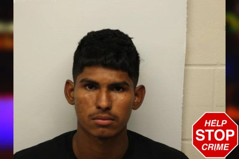 Darwin Ramos mugshot – Chatham County , Georgia Darwin Ramos