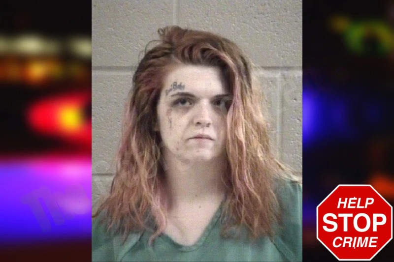 Dasaray Fowler Mugshots