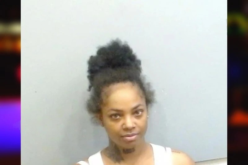Dasha Smith mugshot β Fulton County , Georgia Dasha Smith mugshot