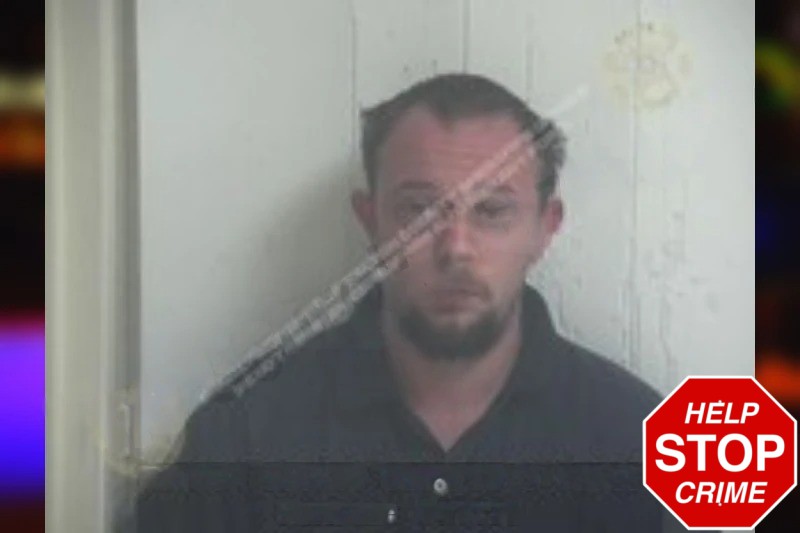 David Hamilton Mugshots