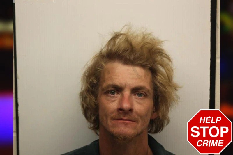 David Harry Mugshots