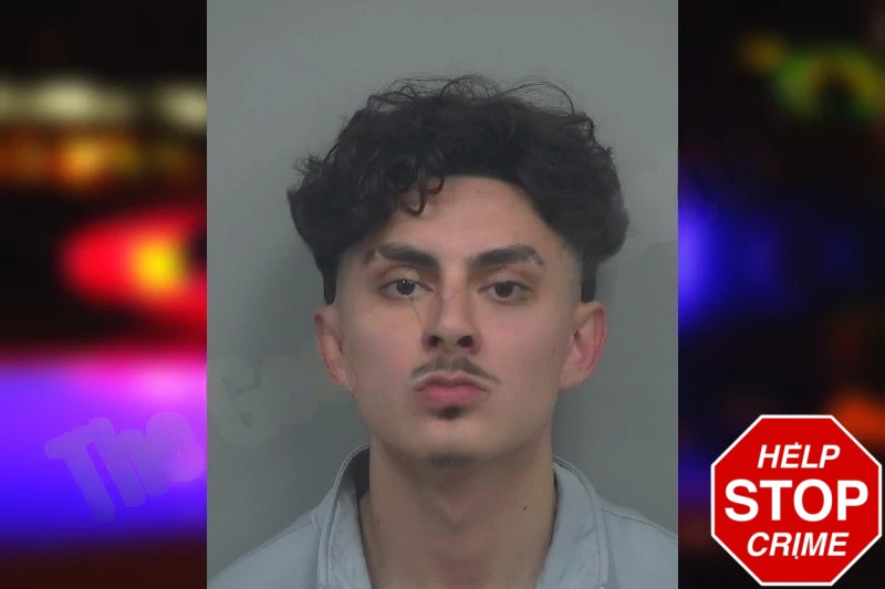 David Siegel Mugshots