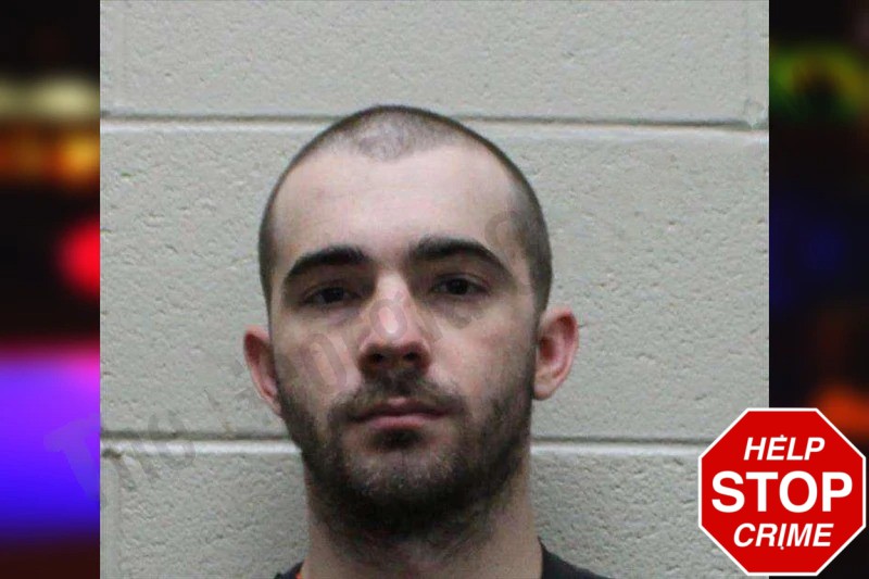 David Wigley Mugshots